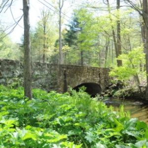 stone-bridge-Great-Hill-Road-330x330
